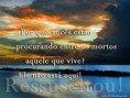 /album/galeria-de-fotos-papeis-de-parede/ia-lucas24-5-6-jpg/
